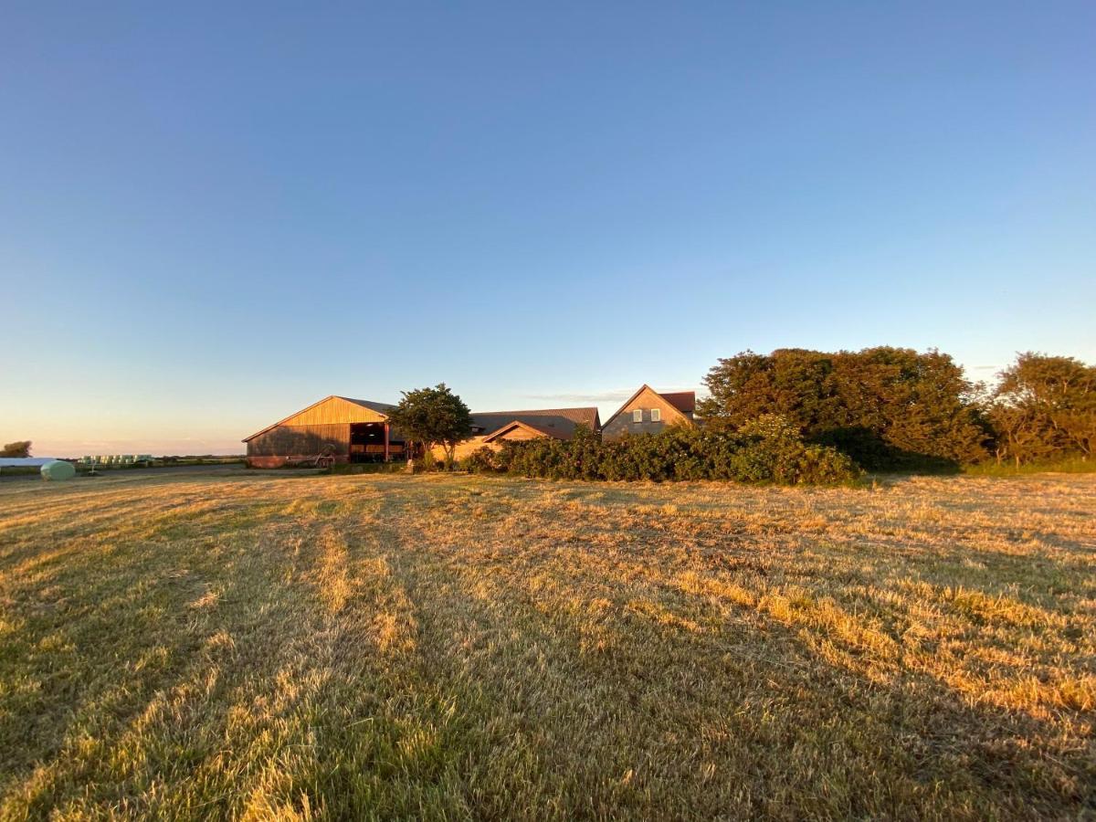 Nygaard B&B Nørre Nebel エクステリア 写真